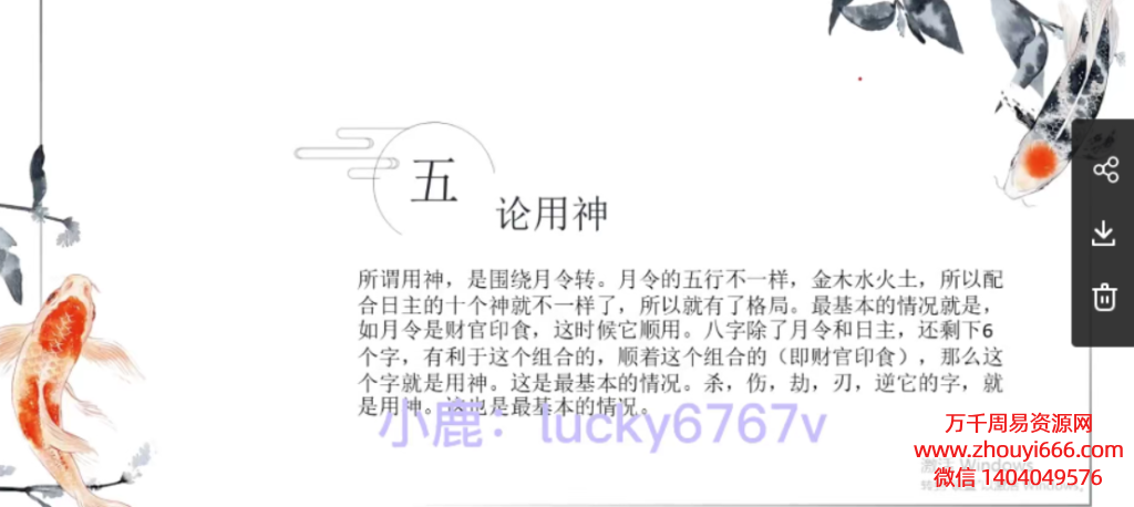 美女小鹿盲派四柱基础视频22集+讲义2套