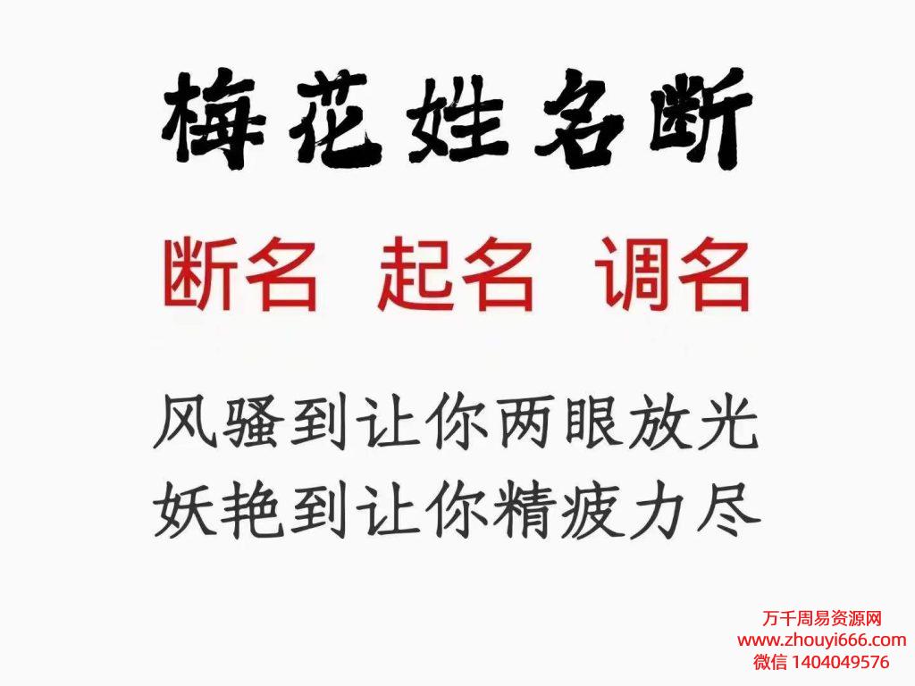 陈春林2023梅花姓名学27集视频