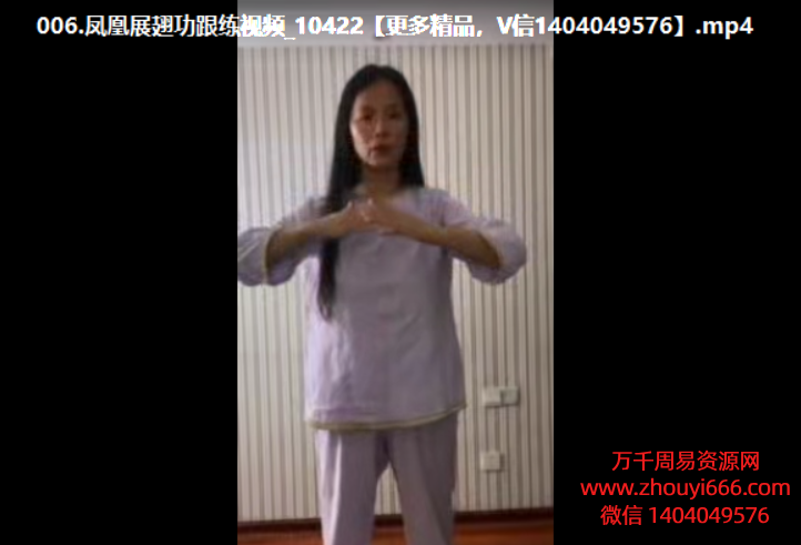 紫琳驻颜女丹功养生同修，视频7集