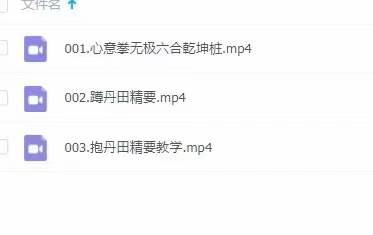 唐宁泰姬氏古传心意六合核心功3集视频
