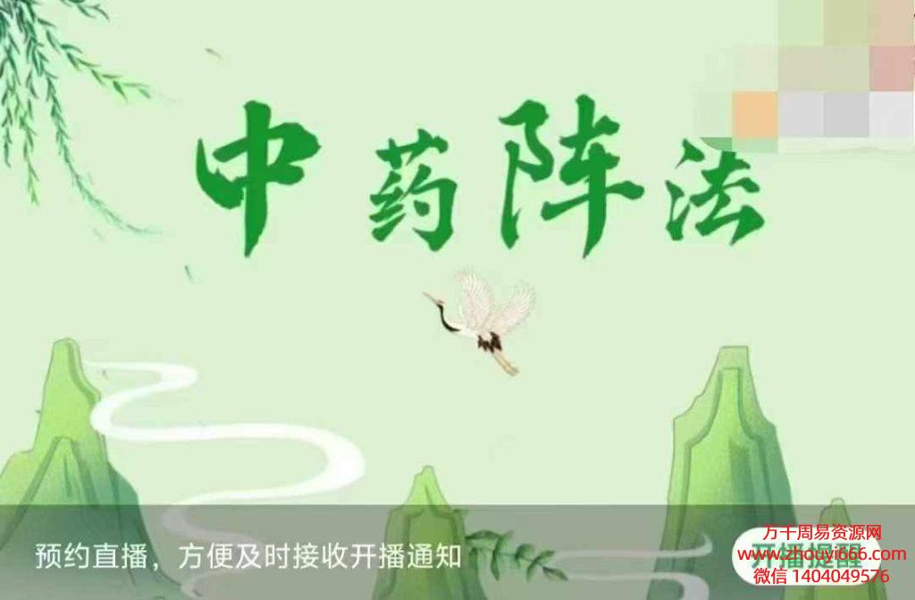 24年陈法灵中药阵法2视频3集