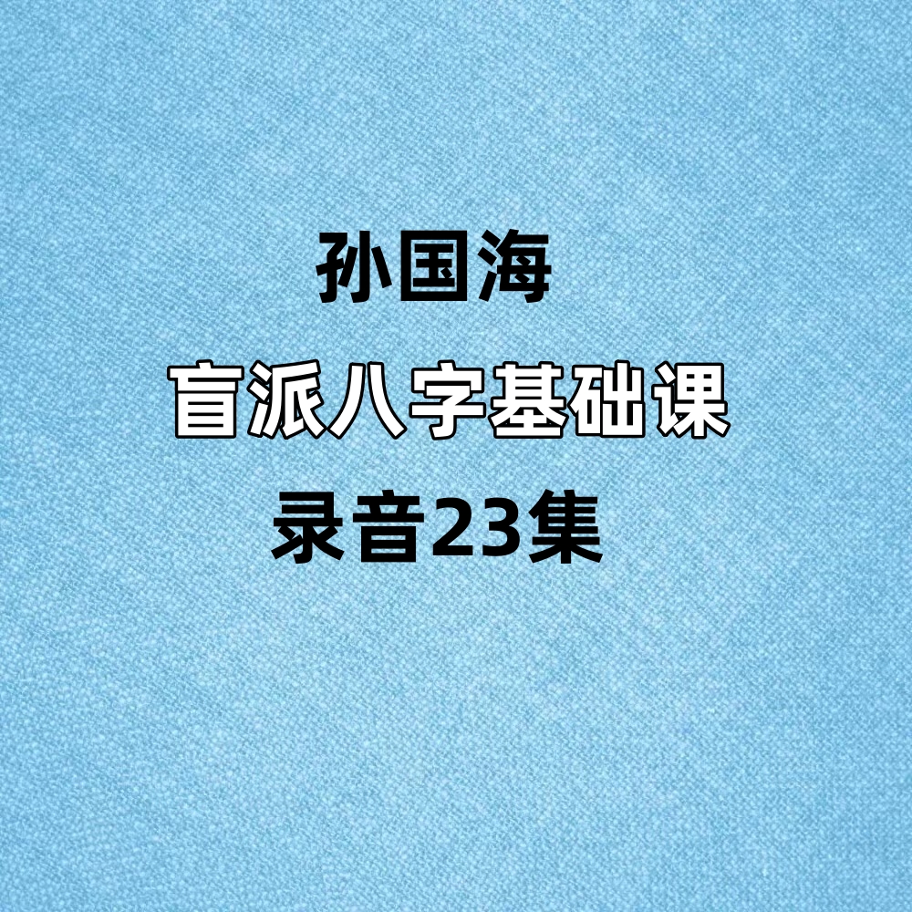 孙国海盲派八字基础课23集录音