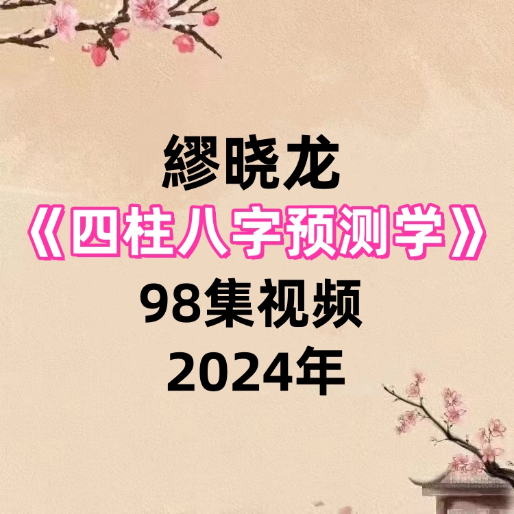 繆晓龙四柱八字预测学98集视频