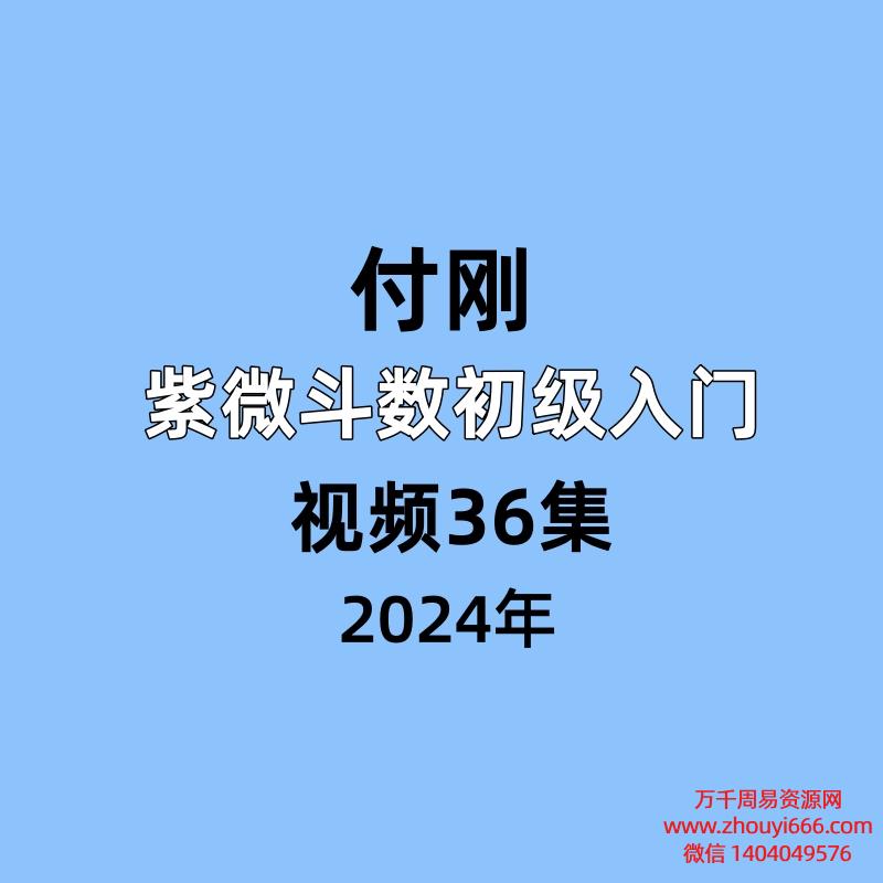 付刚老师，紫微斗数初级入门，视频36集