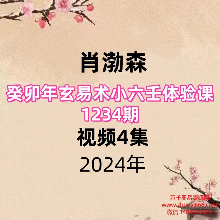肖渤森，癸卯年玄易术小六壬体验课1234期，视频4集
