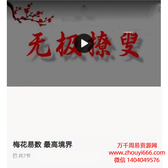 赵三雍，梅花易数最高境界《无极僚叟》视频7集​​​​