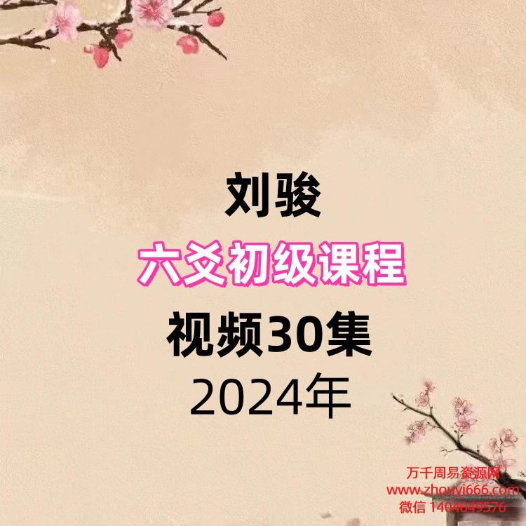 刘骏六爻初级课程，视频30集