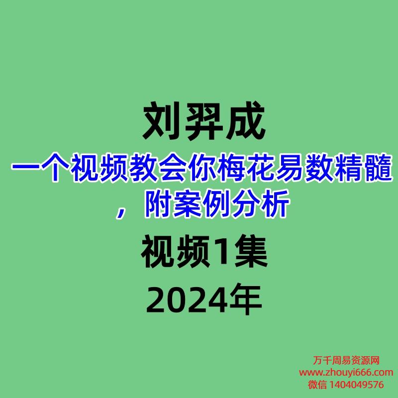 刘羿成，一个视频教会你梅花易数精髓，附案例分析，视频1集