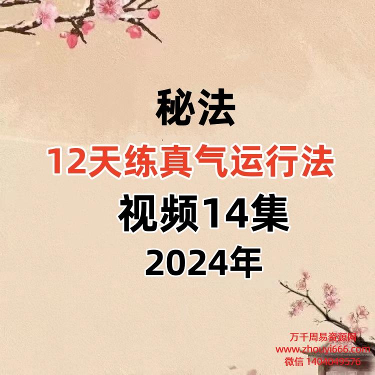 12天练真气运行法 ，视频14集