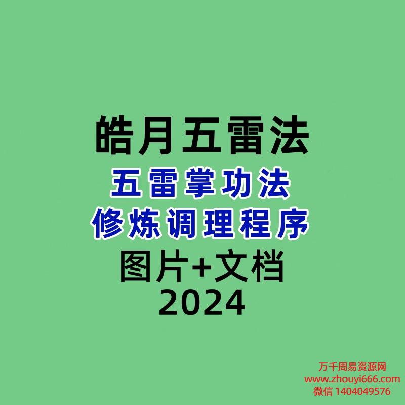 皓月五雷法五雷掌功法修炼调理程序   视频+图片+文档