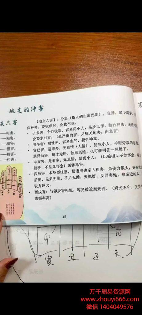 25年孙真坤流年十二神煞73集视频