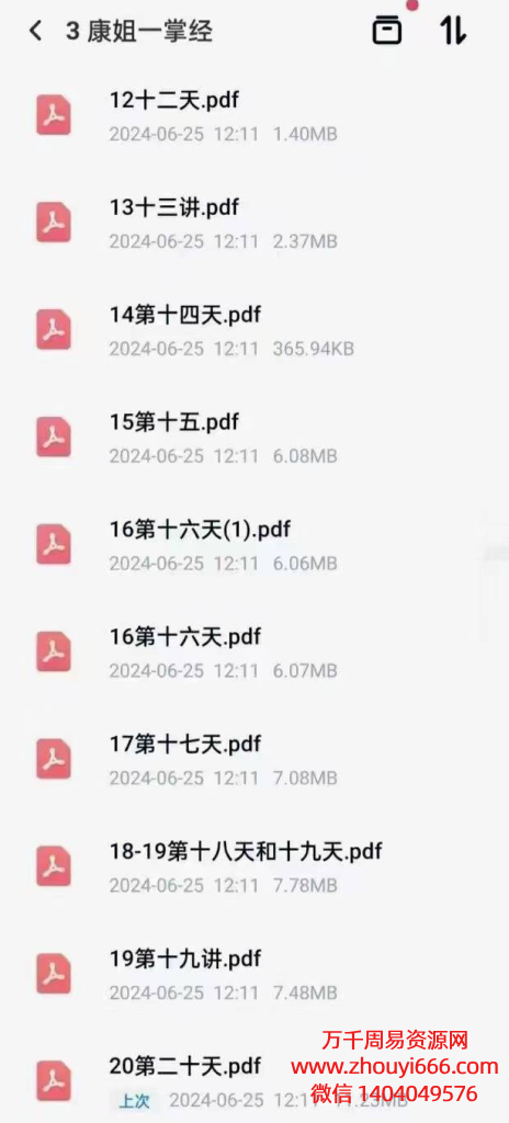 康姐一掌经20天课程，PDF电子文档，全套笔记108页