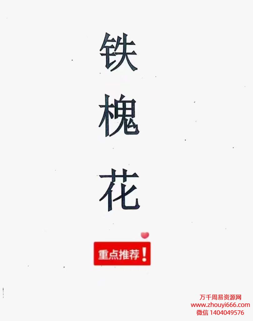 安徽相法铁槐花，PDF电子文档2册