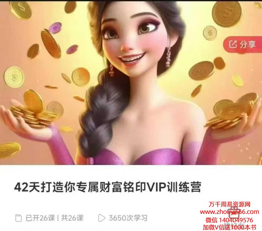 42天打造你专属财富铭印VIP训练营26集视频