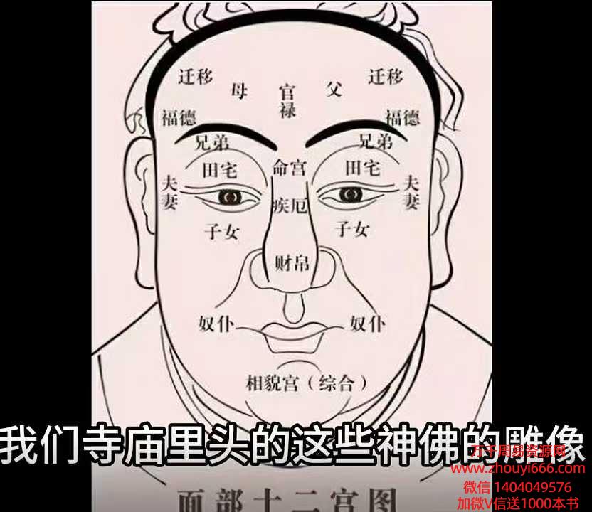 吴明光《面相课程》教学视频100集，每个视频8分钟左右