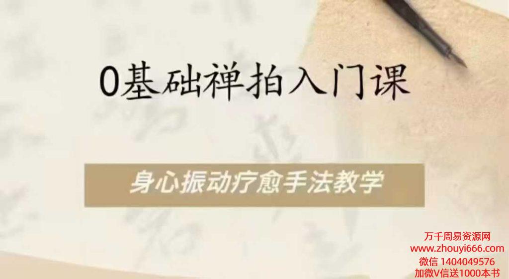 0基础禅拍入门课程，身心振动疗愈手法教学，全33讲视频课.