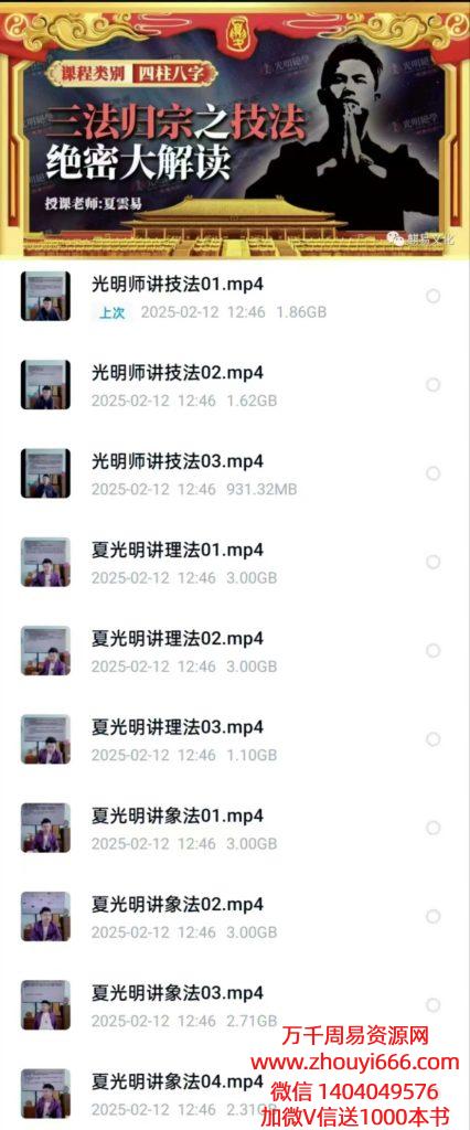 夏光明技法象法理法三法归宗10集高清视频