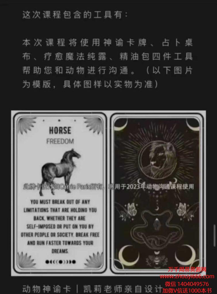 凯莉动物沟通大师课 视频8集