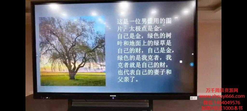 《庞枫栖相学全息读象精品班》8集视频，每集时长4小时左右