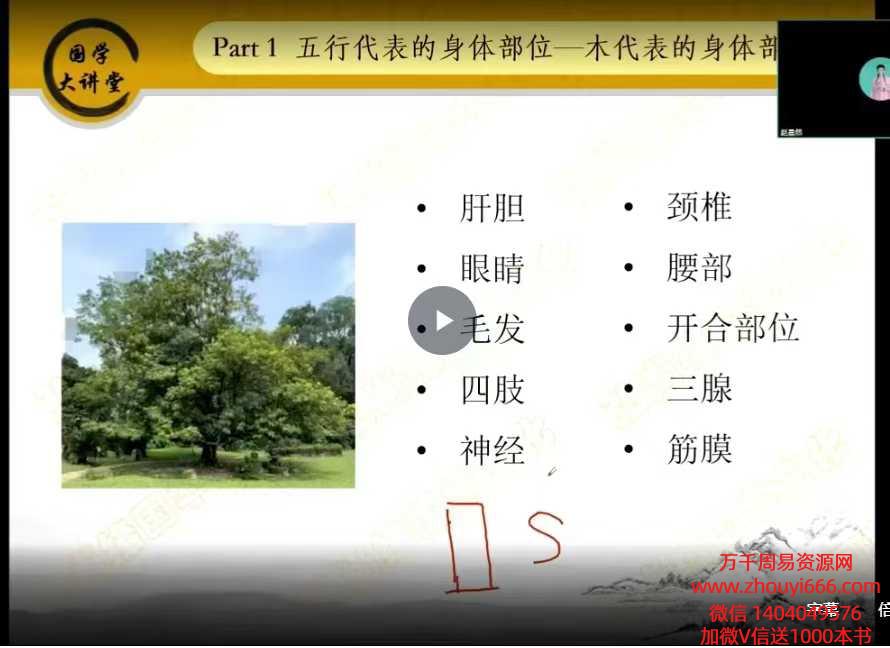 赵晨然老师《微信头像预测学》教学课程24集视频