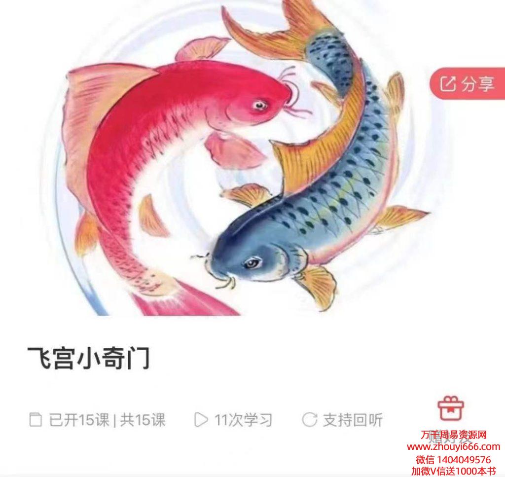 武雨桐飞宫小奇门15集视频