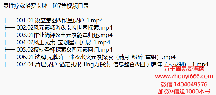 银河叶子，灵性疗愈塔罗卡牌一阶7集视频➕二阶5集视频❗❗共两套课❗❗