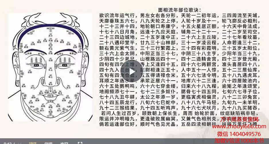 面相学基础入门18集视频课程