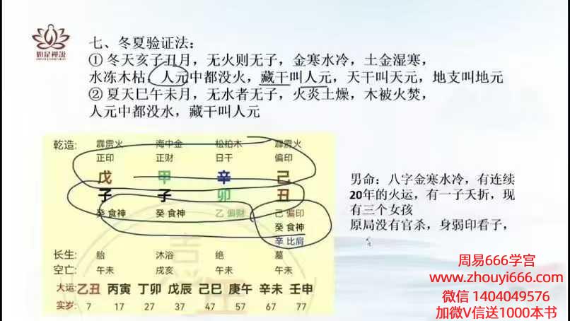 如是禅说辰南《四柱八字精批六亲》教学视频38集